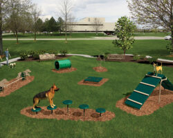 Agility park